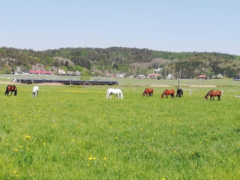 Stuga på Hammarbergs Gård Nature lodge in Västra Götaland County