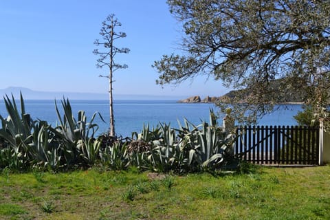 Beach, Sea view