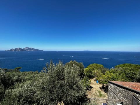 Apartment Don Luigino - Capri view by Interhome Apartment in Massa Lubrense