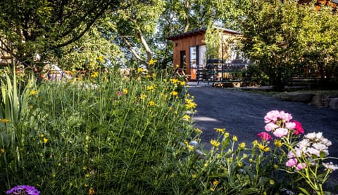 Natural landscape, Garden, Garden view