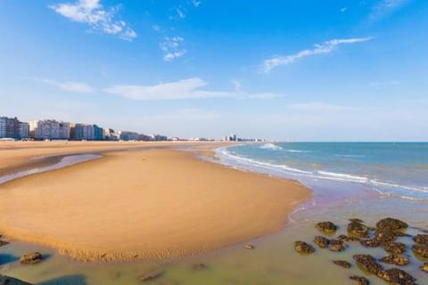 Ocean Breeze Apartment in Ostend