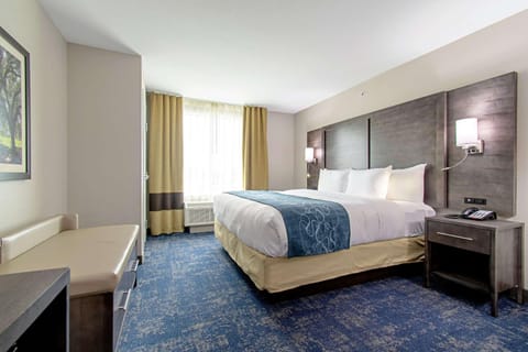 Comfort Suites Humble Houston IAH Hotel in Houston