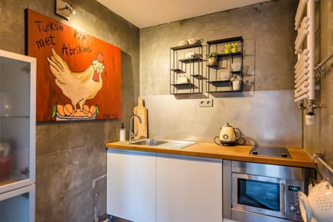 Dit Eiland (2p) Apartment in Friesland, Netherlands