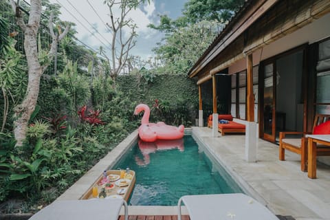 Pool view, Swimming pool