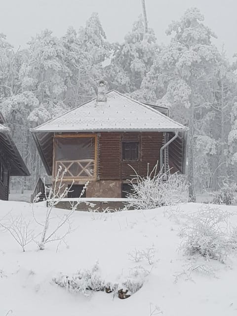 Property building, Winter