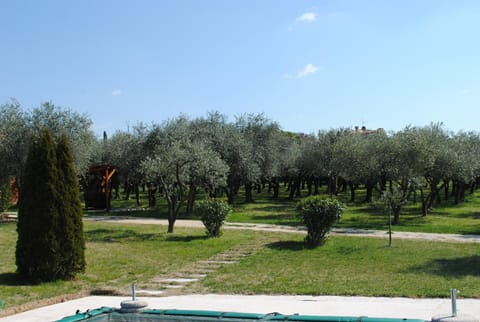 Garden, Garden view