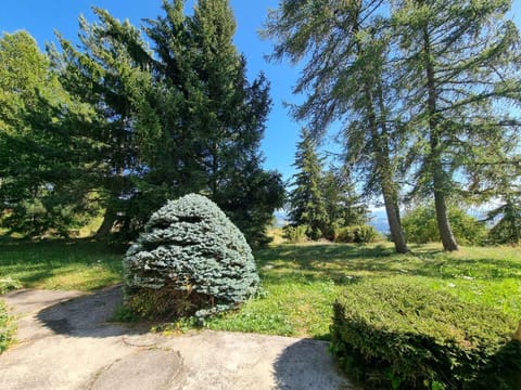 Chalet spacieux 10 pers, 4 chambres, jardin, cheminée, animaux OK, ménage fin séjour option - FR-1-393-38 Chalet in Provence-Alpes-Côte d'Azur