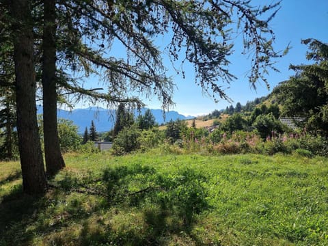 Chalet spacieux 10 pers, 4 chambres, jardin, cheminée, animaux OK, ménage fin séjour option - FR-1-393-38 Chalet in Provence-Alpes-Côte d'Azur