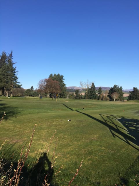 Golfcourse, Golfcourse, Sports