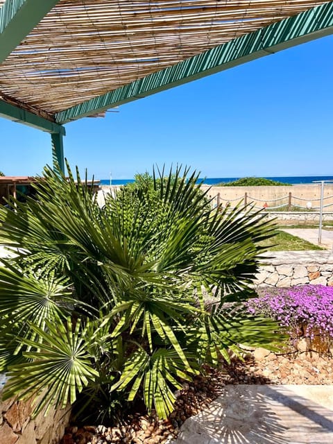 Garden, Balcony/Terrace