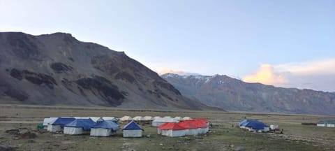 Marmote Camps - Sarchu Luxus-Zelt in Himachal Pradesh
