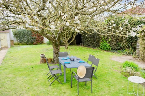 Patio, Garden, Garden view