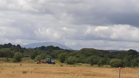 Swallows Cottage Casa in County Sligo