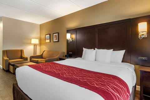 Comfort Inn & Suites near Six Flags Hôtel in Lithia Springs