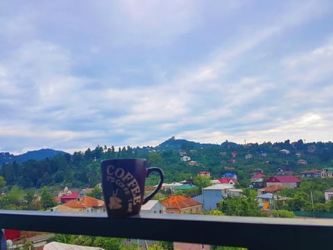 Balcony/Terrace, Mountain view