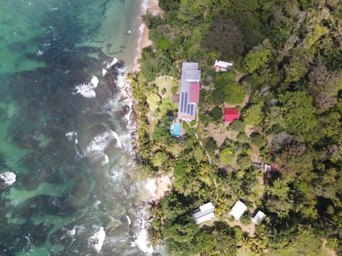 Bird Island Bungalows Hotel in Bocas del Toro Province