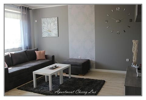 Apartment Cherry Lux Wohnung in Timiș County