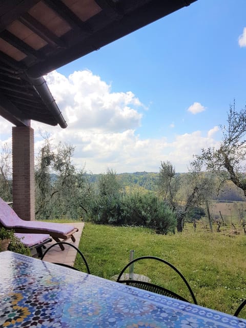 Patio, Garden, Balcony/Terrace