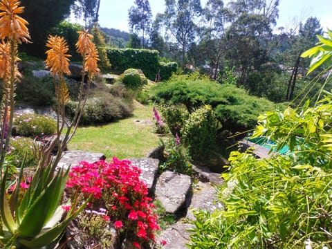 Garden, Garden view