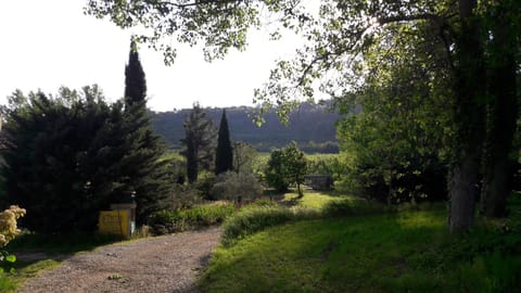 Spring, Garden view