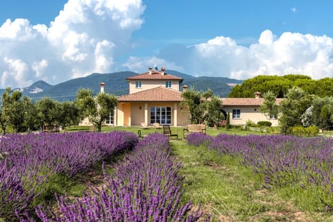 Garden, Garden view