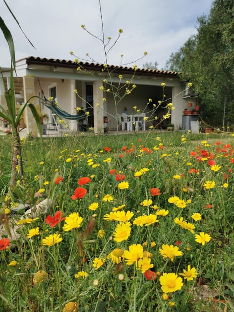 Casa Cocco Apartment in Quartu Sant'Elena