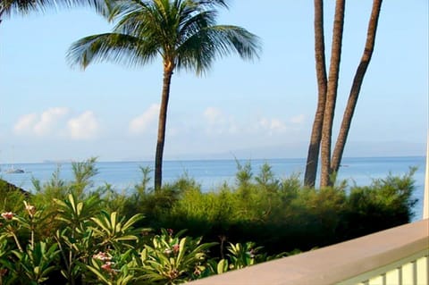 Garden, Sea view