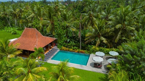 Bird's eye view, Inner courtyard view