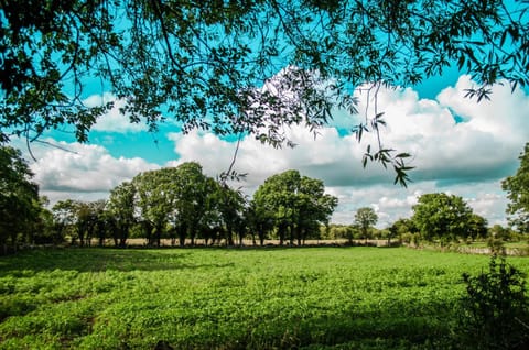 Corrib View Farmhouse Apartment in County Galway