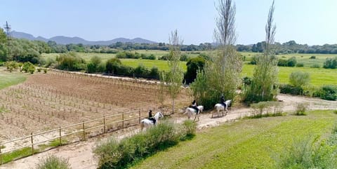 Horse-riding