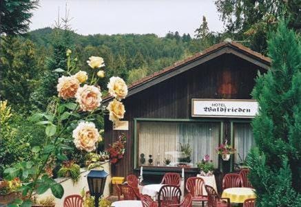 Ferienhotel Waldfrieden Chambre d’hôte in Bad Sachsa