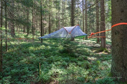 Baumzelt am Waldesrand Luxury tent in Regen