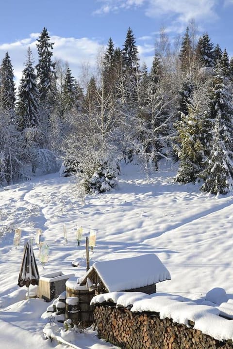 Mountain chalet SmoLenisko domek w górach Chalet in Lesser Poland Voivodeship