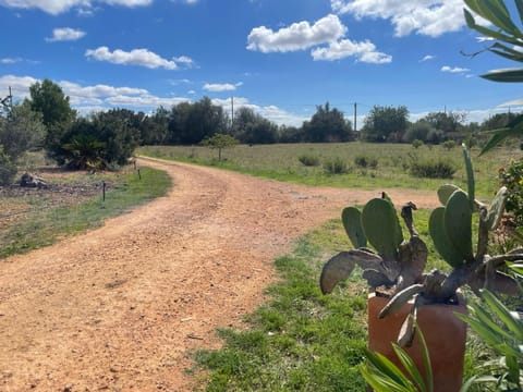 Finca Can Alba Villa in Pla de Mallorca