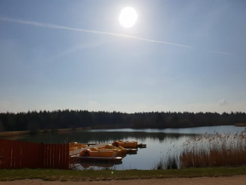 Natural landscape, Sports