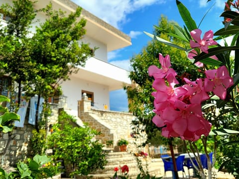 Property building, Garden, Garden view