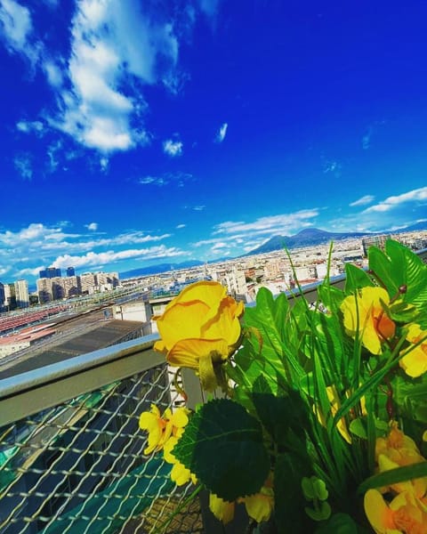 B&B Napoli's Rooftop Chambre d’hôte in Naples