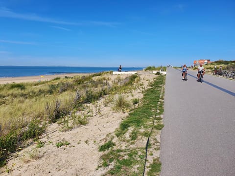 Beach, Beach, Cycling, Cycling