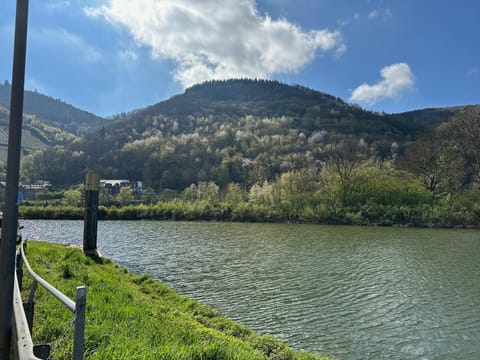 Altes Eichamt Apartment in Bernkastel-Kues