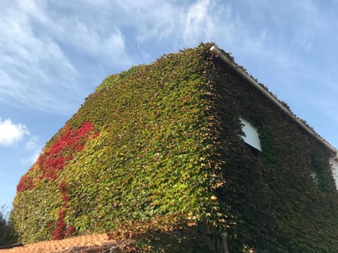 un coin de paradis House in Six-Fours-les-Plages