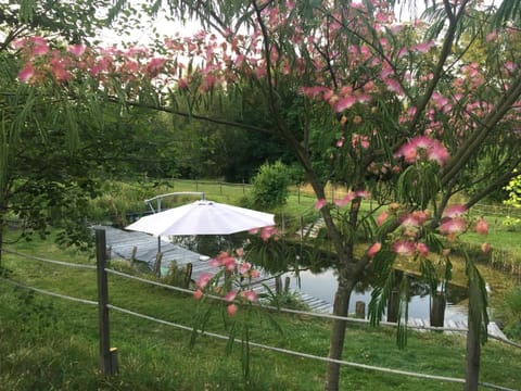 Pool view, Swimming pool, Swimming pool