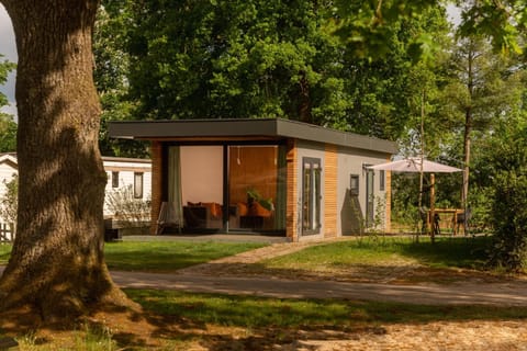 Patio, Garden, Garden view