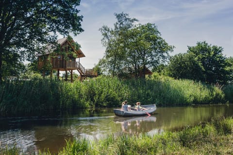 Day, Natural landscape, Photo of the whole room, River view