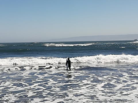 Condominio PLaya Pangal House in O'Higgins, Chile