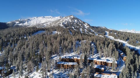 Timber Ridge Resort by 101 Great Escapes Eigentumswohnung in Mammoth Lakes