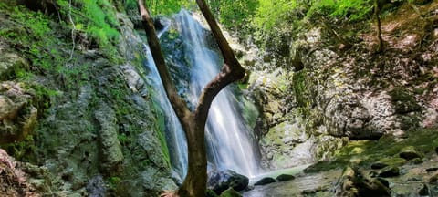Le Valserine - Camping éco responsable Campground/
RV Resort in Haute-Savoie