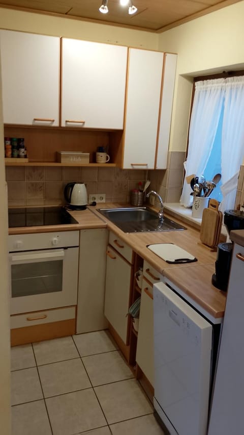 Kitchen or kitchenette, dishwasher, stove