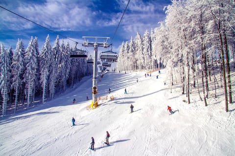 Skiing