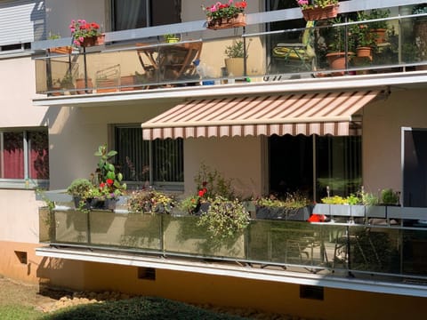 Balcony/Terrace, Balcony/Terrace