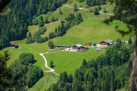 Natural landscape, Bird's eye view